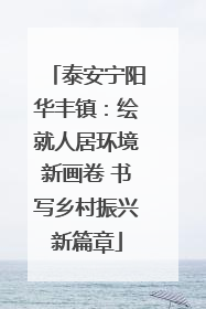 泰安宁阳华丰镇：绘就人居环境新画卷 书写乡村振兴新篇章