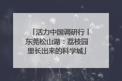 活力中国调研行丨东莞松山湖：荔枝园里长出来的科学城