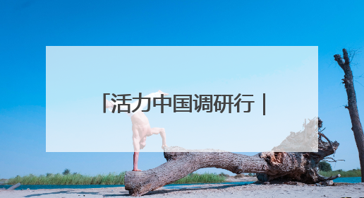 活力中国调研行｜雷军：未来5年将投2000亿元用于核心技术研发