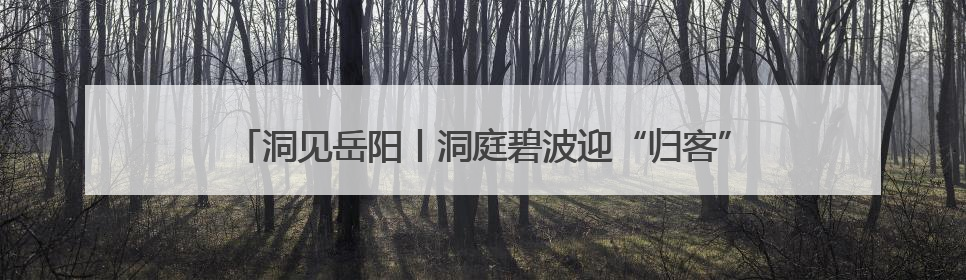 洞见岳阳丨洞庭碧波迎“归客”：一座城市与麋鹿的双向奔赴