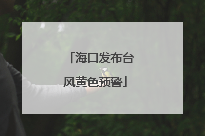 海口发布台风黄色预警