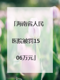 海南省人民医院被罚1506万元