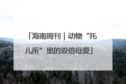 海南周刊｜动物“托儿所”里的双倍母爱