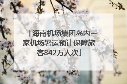 海南机场集团岛内三家机场暑运预计保障旅客842万人次