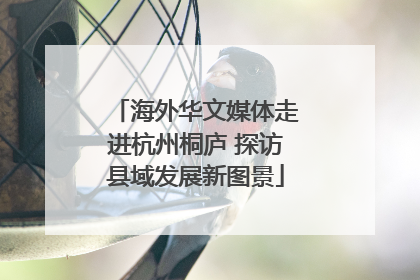 海外华文媒体走进杭州桐庐 探访县域发展新图景