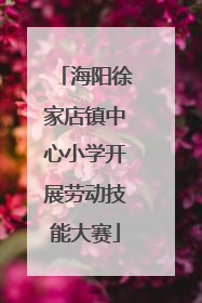 海阳徐家店镇中心小学开展劳动技能大赛