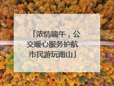 浓情端午，公交暖心服务护航市民游玩南山