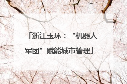 浙江玉环：“机器人军团”赋能城市管理