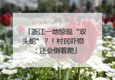 浙江一地惊现“双头蛇”？！村民吓懵：还会倒着爬