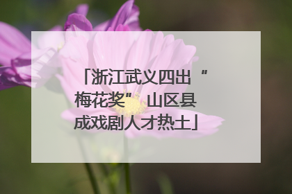 浙江武义四出“梅花奖” 山区县成戏剧人才热土