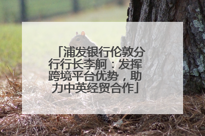 浦发银行伦敦分行行长李舸：发挥跨境平台优势，助力中英经贸合作