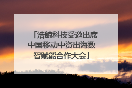 浩鲸科技受邀出席中国移动中资出海数智赋能合作大会
