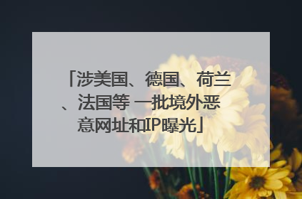 涉美国、德国、荷兰、法国等 一批境外恶意网址和IP曝光