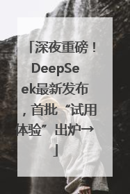 深夜重磅！DeepSeek最新发布，首批“试用体验”出炉→