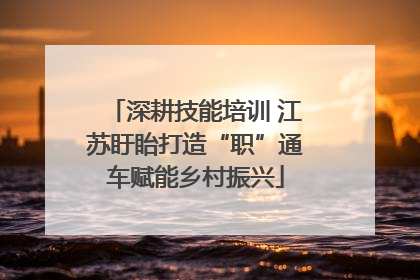 深耕技能培训 江苏盱眙打造“职”通车赋能乡村振兴