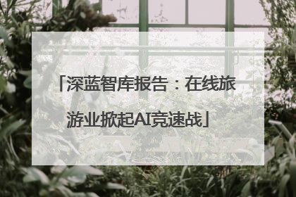 深蓝智库报告：在线旅游业掀起AI竞速战