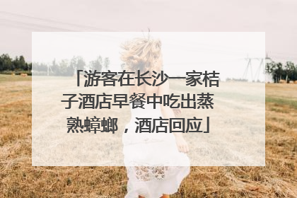 游客在长沙一家桔子酒店早餐中吃出蒸熟蟑螂，酒店回应