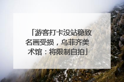 游客打卡没站稳致名画受损，乌菲齐美术馆：将限制自拍