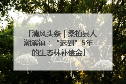 清风头条｜桑植县人潮溪镇：“迟到”5年的生态林补偿金