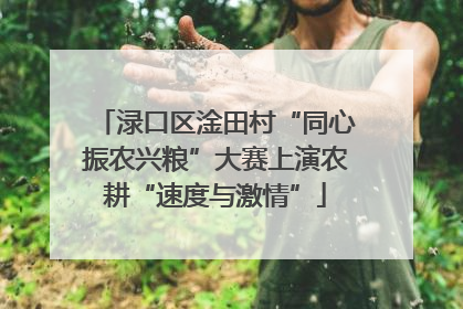 渌口区淦田村“同心振农兴粮”大赛上演农耕“速度与激情”