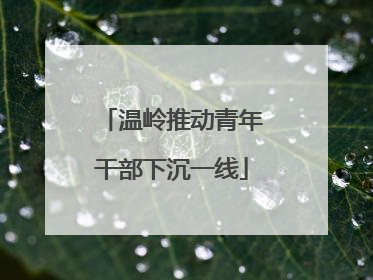 温岭推动青年干部下沉一线