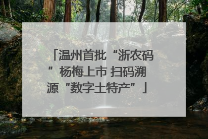 温州首批“浙农码”杨梅上市 扫码溯源“数字土特产”