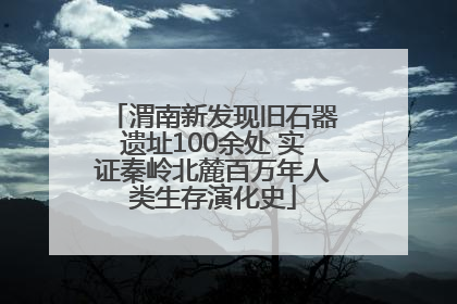 渭南新发现旧石器遗址100余处 实证秦岭北麓百万年人类生存演化史