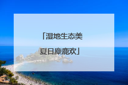 湿地生态美 夏日麋鹿欢