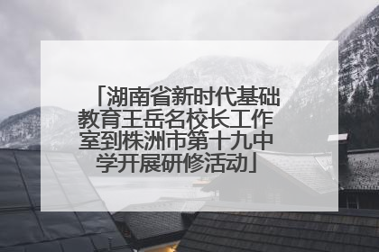 湖南省新时代基础教育王岳名校长工作室到株洲市第十九中学开展研修活动