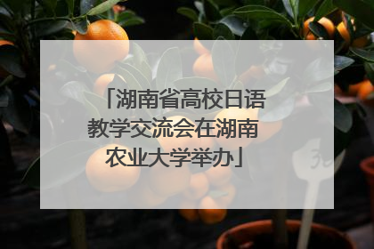湖南省高校日语教学交流会在湖南农业大学举办