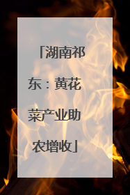湖南祁东：黄花菜产业助农增收