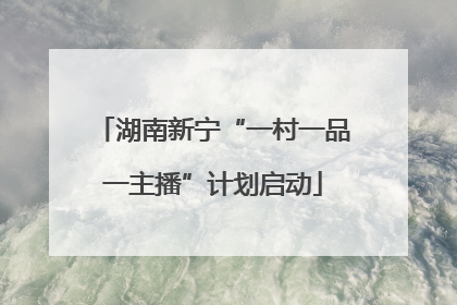 湖南新宁“一村一品一主播”计划启动