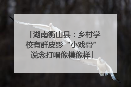 湖南衡山县：乡村学校有群皮影“小戏骨” 说念打唱像模像样