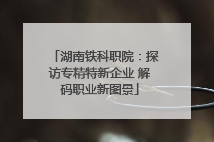 湖南铁科职院：探访专精特新企业 解码职业新图景