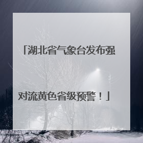 湖北省气象台发布强对流黄色省级预警！