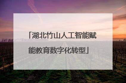 湖北竹山人工智能赋能教育数字化转型