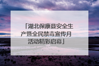 湖北保康县安全生产暨全民禁毒宣传月活动精彩启幕