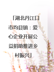 湖北丹江口市均县镇：爱心企业开展公益捐助推进乡村振兴