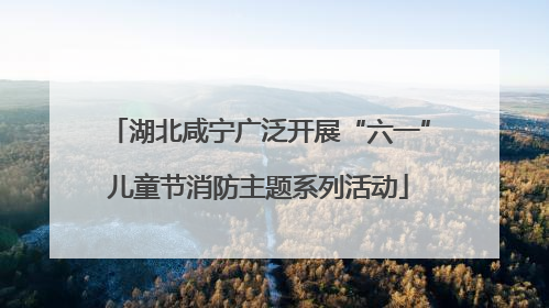 湖北咸宁广泛开展“六一”儿童节消防主题系列活动