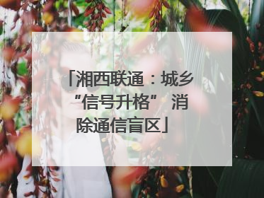 湘西联通：城乡“信号升格” 消除通信盲区