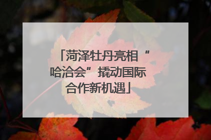 菏泽牡丹亮相“哈洽会”撬动国际合作新机遇