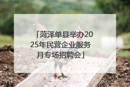 菏泽单县举办2025年民营企业服务月专场招聘会
