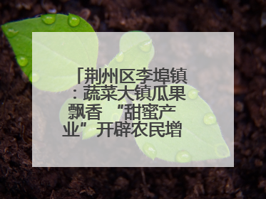 荆州区李埠镇：蔬菜大镇瓜果飘香 “甜蜜产业”开辟农民增收“新赛道”