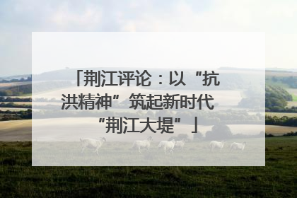 荆江评论：以“抗洪精神”筑起新时代“荆江大堤”