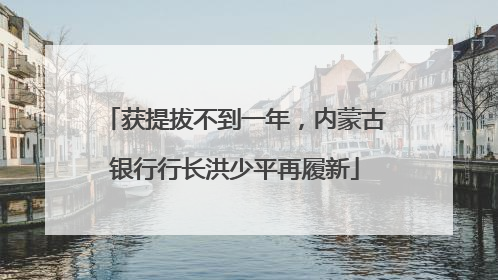 获提拔不到一年，内蒙古银行行长洪少平再履新