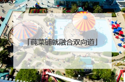 莼菜铺就融合双向道