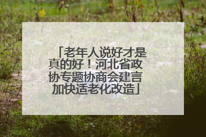 老年人说好才是真的好！河北省政协专题协商会建言加快适老化改造