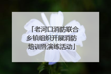 老河口消防联合乡镇组织开展消防培训暨演练活动
