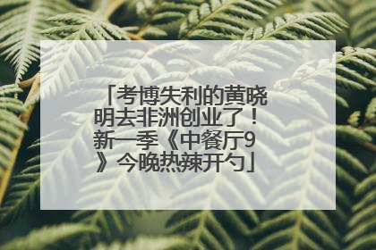 考博失利的黄晓明去非洲创业了！新一季《中餐厅9》今晚热辣开勺