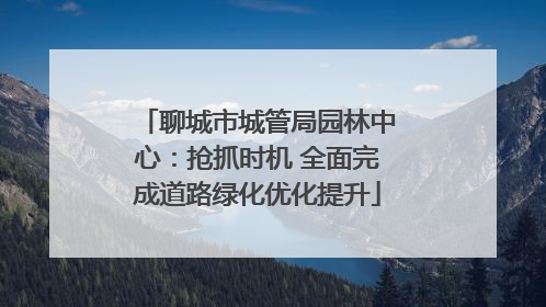 聊城市城管局园林中心：抢抓时机 全面完成道路绿化优化提升